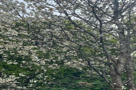 Photo of property in 162 West Street, Greytown, 5712