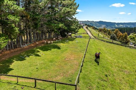 Photo of property in 304 Tuhirangi Road, Makarau, Warkworth, 0984
