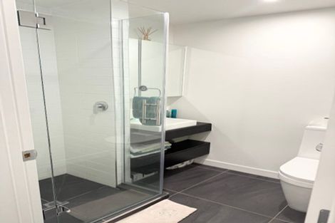 Photo of property in Pinnacle Apartments, W302/160 Victoria Street, Te Aro, Wellington, 6011