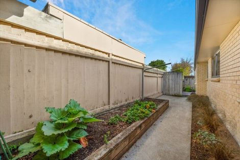 Photo of property in 6b North Street, Morrinsville, 3300