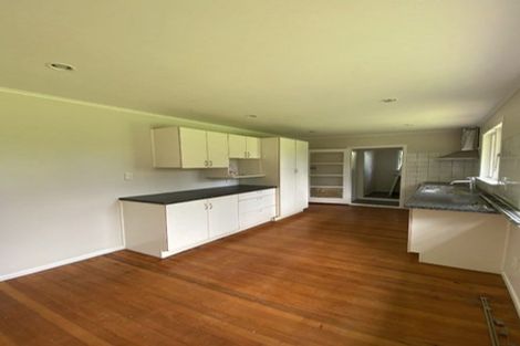 Photo of property in 24 Trojan Crescent, New Lynn, Auckland, 0600