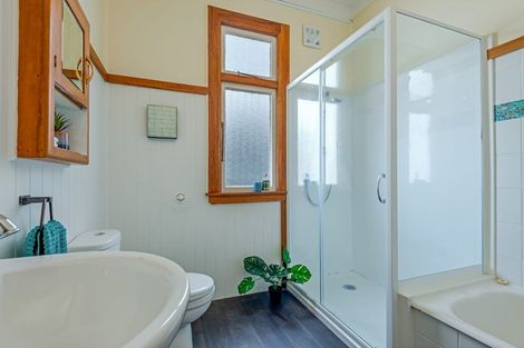 Photo of property in 64 Limbrick Street, Terrace End, Palmerston North, 4410