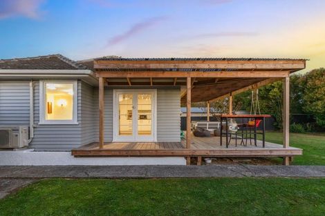 Photo of property in 8 Middlesex Street, Levin, 5510