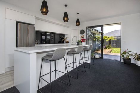 Photo of property in 55 Berryfield Drive, Richmond, 7020