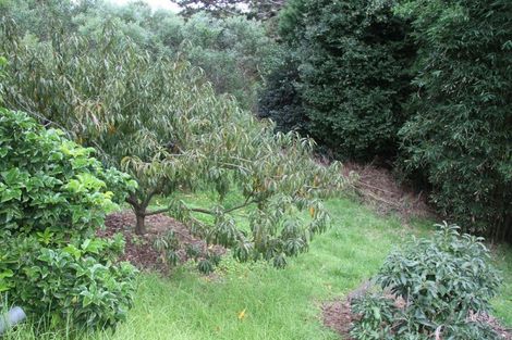 Photo of property in 308 Henderson Bay Road, Houhora, Kaitaia, 0484