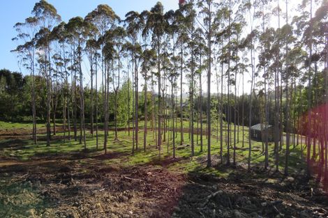 Photo of property in 59 Harbour View Rise, Mangonui, 0494