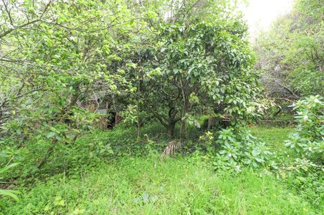 Photo of property in 111 Currie Street, Thames, 3500