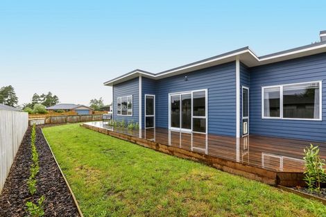 Photo of property in 39 Smith Street, Lepperton, New Plymouth, 4373