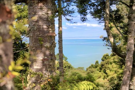 Photo of property in 65 Takahe Road, Titirangi, Auckland, 0604