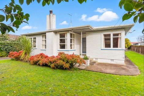 Photo of property in 45 Duke Street, Levin, 5510