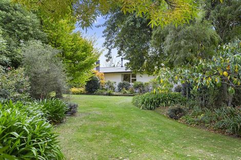 Photo of property in 124 Double Corner Road, Amberley, 7481