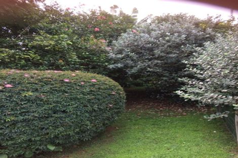 Photo of property in 8 Victoria Street, Tahawai, Katikati, 3170