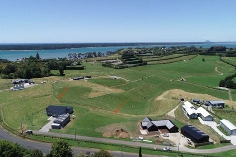 Photo of property in 192d Ongare Point Road, Tahawai, Katikati, 3170