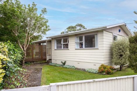 Photo of property in 95 Revans Street, Featherston, 5710