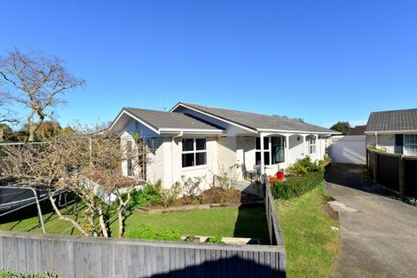 Photo of property in 8b Chelsea Place, Chartwell, Hamilton, 3210