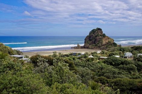 Photo of property in 25 Rayner Road, Piha, 0772