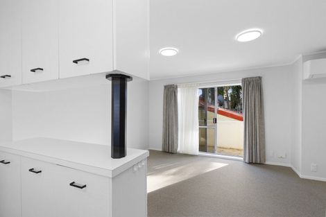 Photo of property in 69d Elizabeth Street, Mount Victoria, Wellington, 6011