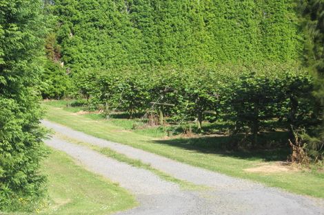 Photo of property in 107 Whakamarama Road, Whakamarama, 3179