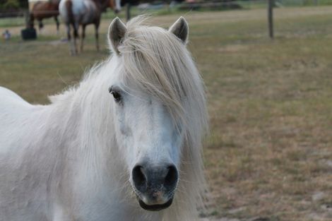 Photo of property in 40 Fay Lane, Queensberry, Cromwell, 9383