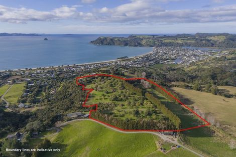 Photo of property in 899f Purangi Road, Cooks Beach, Whitianga, 3591
