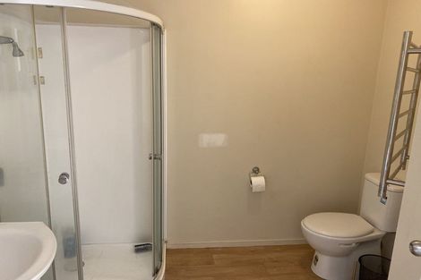 Photo of property in 37a May Street, Hamilton East, Hamilton, 3216