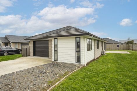 Photo of property in 68 Hinemoa Street, Levin, 5510