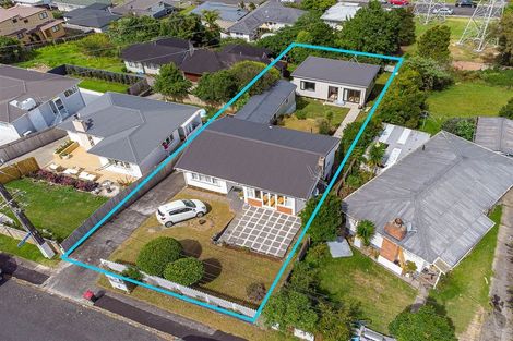 Photo of property in 44 Ellis Avenue, Mount Roskill, Auckland, 1041