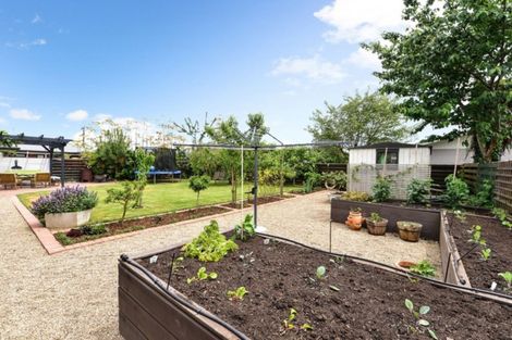 Photo of property in 3 Delamare Road, St Andrews, Hamilton, 3200