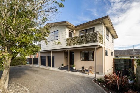 Photo of property in 901a Dufferin Street, Akina, Hastings, 4122