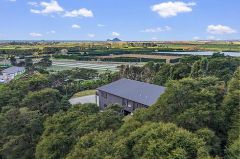 Photo of property in 3 Kereru Lane, Matata, 3194