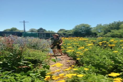 Photo of property in 288 Oropi Gorge Road, Oropi, Tauranga, 3173