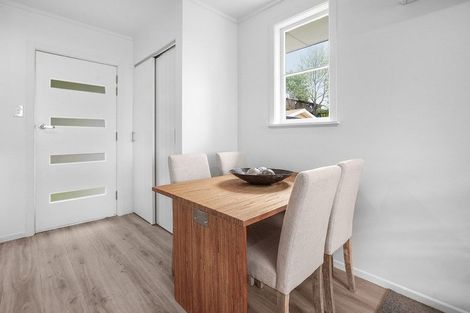 Photo of property in 24 Glenview Terrace, Glenview, Hamilton, 3206