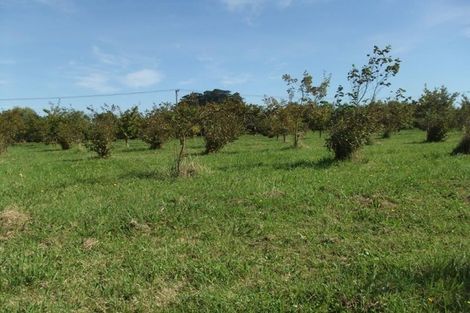 Photo of property in 947 Koputaroa Road, Koputaroa, Levin, 5575