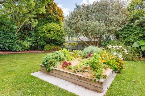 Photo of property in 247 College Street, West End, Palmerston North, 4412