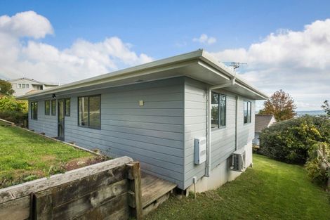 Photo of property in 107 Danby Street, Thames, 3500