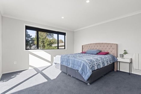 Photo of property in 38 Milton Street, Roslyn, Palmerston North, 4414