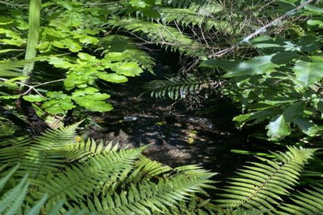 Photo of property in 96 Hair Street, Wainuiomata, Lower Hutt, 5014