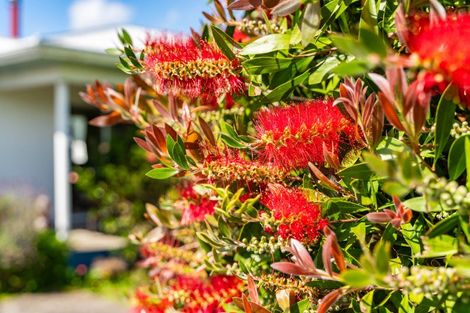 Photo of property in 102 Freyberg Road, Ruawai, 0530