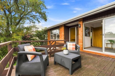 Photo of property in 3 Henry Street, Maori Hill, Dunedin, 9010
