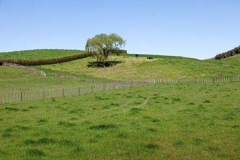 Photo of property in 3 Mcmillan Road, Tirau, 3484