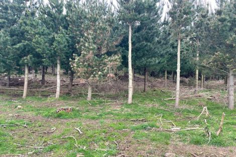 Photo of property in 1387 Santoft Road, Santoft, Bulls, 4894