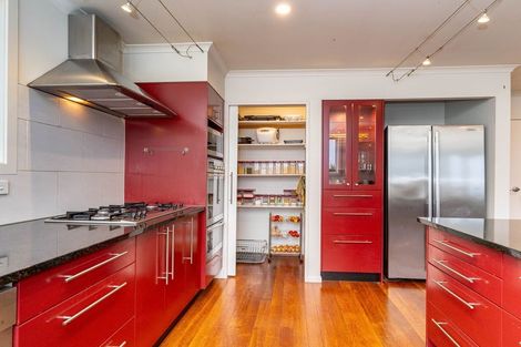 Photo of property in 45 Leven Street, Roslyn, Dunedin, 9010