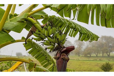 Photo of property in 382 Pahi Road, Pahi, Paparoa, 0571