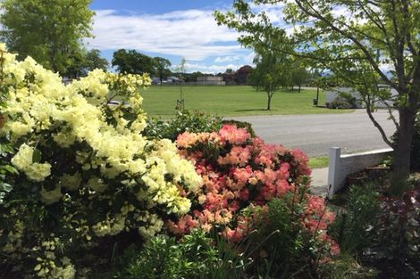 Photo of property in 20 Whitcombe Street, Temuka, 7920