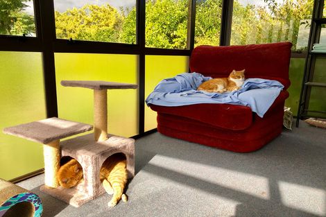 Photo of property in 285 Hazelmere Crescent, Te Awamutu, 3800