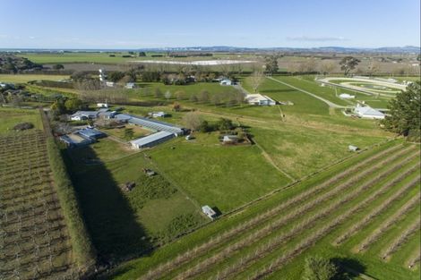 Photo of property in 41 Gavin Black Street, Meeanee, Napier, 4112