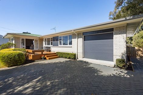 Photo of property in 17 Filmer Place, Melville, Hamilton, 3206