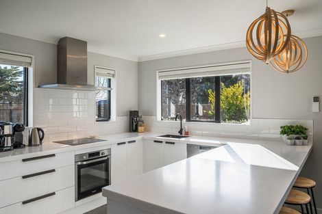 Photo of property in 225 Taylor Pass Road, Witherlea, Blenheim, 7201