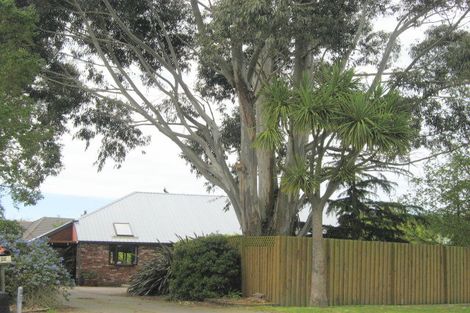 Photo of property in 22 Parsonage Road, Woodend, 7610