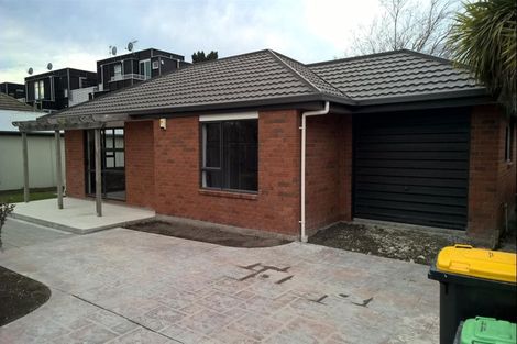Photo of property in 111b Canon Street, Edgeware, Christchurch, 8013